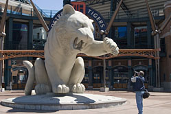 Tom photographing a tiger sculpture at the Comerica Park entrance