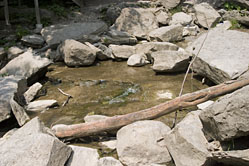 Rock Glen Falls